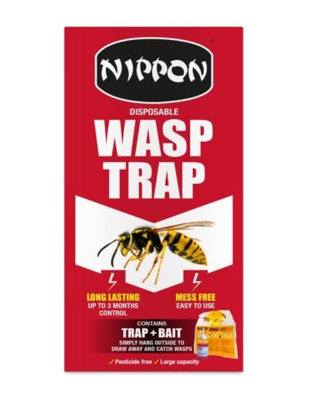 Baited Wasp Control System