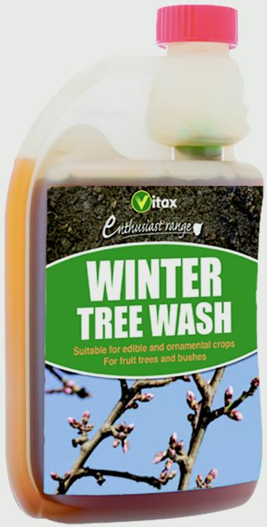 Winter Tree Wash