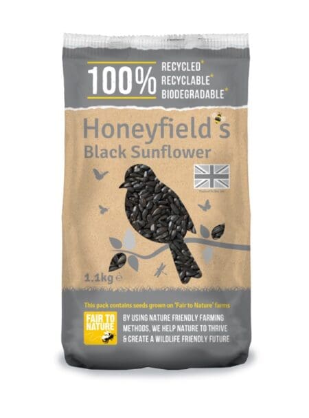 Black Sunflower Seed