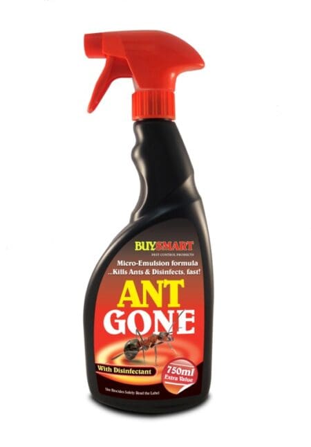 Ant Gone