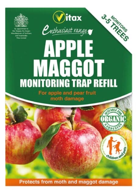 Apple Maggot Trap
