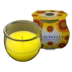 Citronella Jar In Cluster Pack
