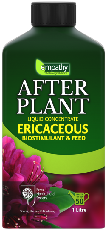 After Plant Ericaceous