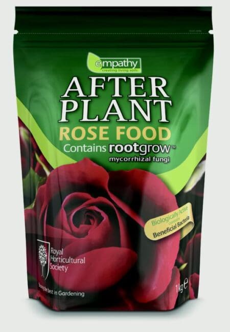After Plant Rose Food With Rootgrow
