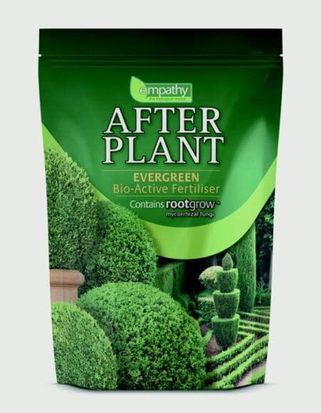 After Plant Evergreens With Rootgrow