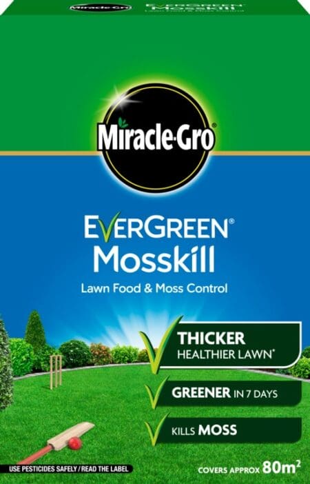 Evergreen Mosskill With Lawn Food