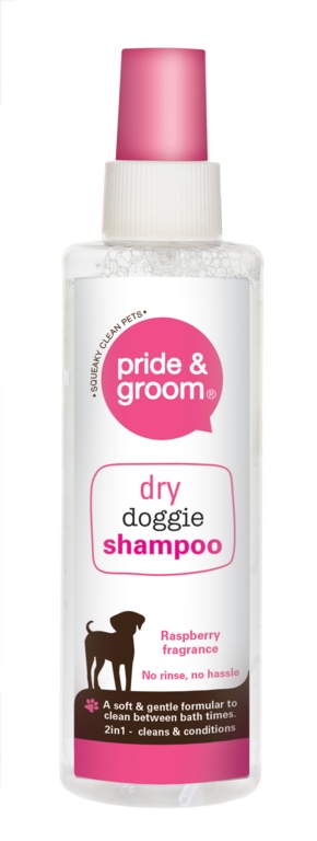 Dry Shampoo Spray