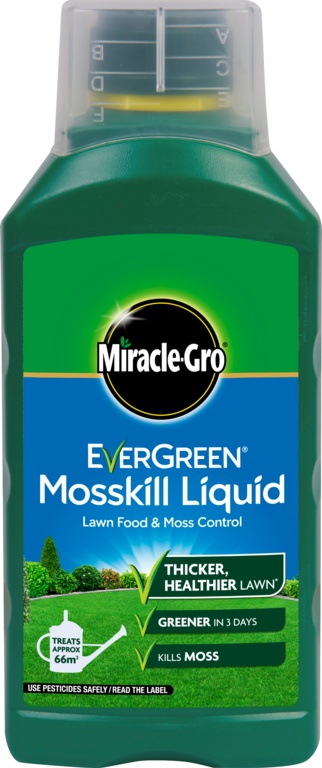 Evergreen Liquid Feed & Moss
