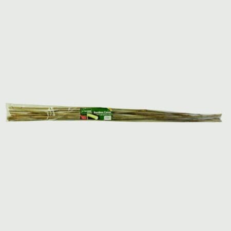 Bamboo Canes Pack 10