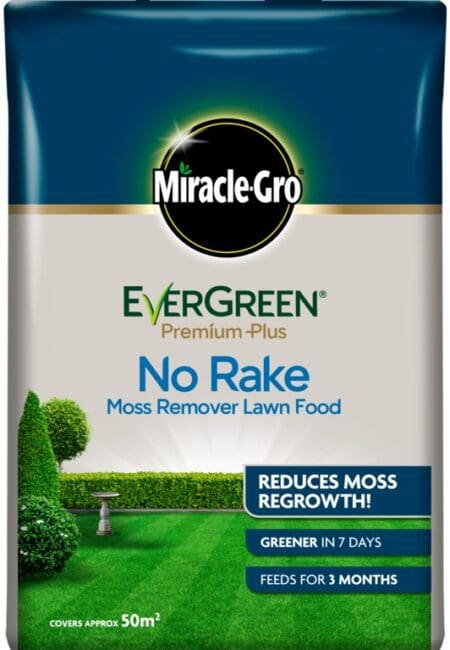 Evergreen No Rake Moss Remover