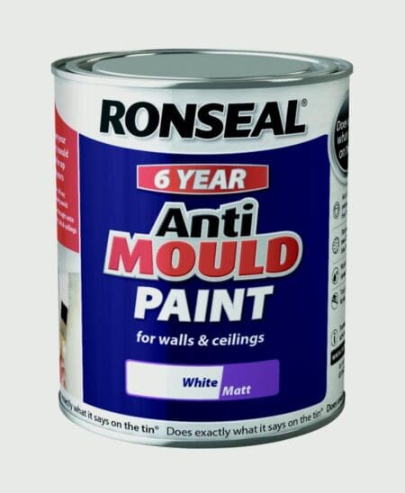 6 Year Anti Mould Paint 750ml