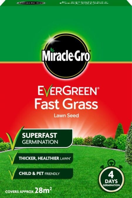 Fast Grass Seed