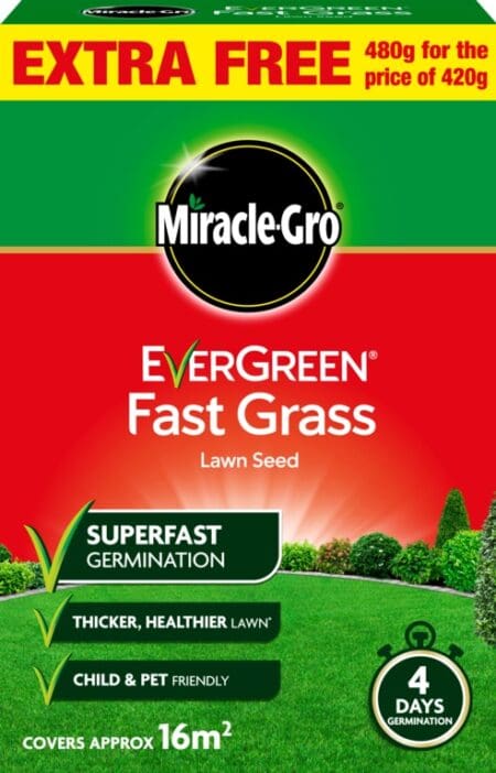 Fast Grass Seed Promo