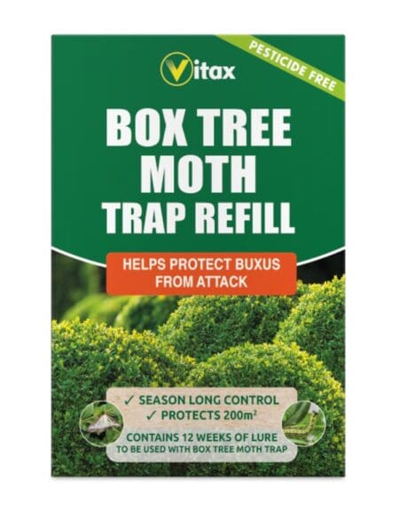 Buxus Moth Trap Refill