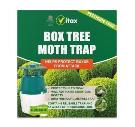 Buxus Moth Trap