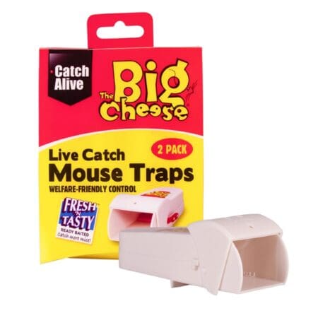 Live Catch RTU Mouse Trap