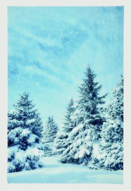 Snowy Christmas Tree Backdrop